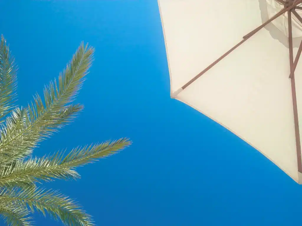 Una sombrilla y una palmera en una playa de Marbella